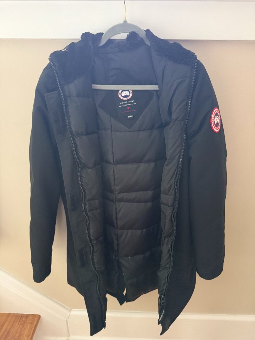 Medium length Canada Goose